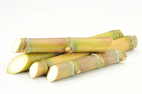 cane sugar